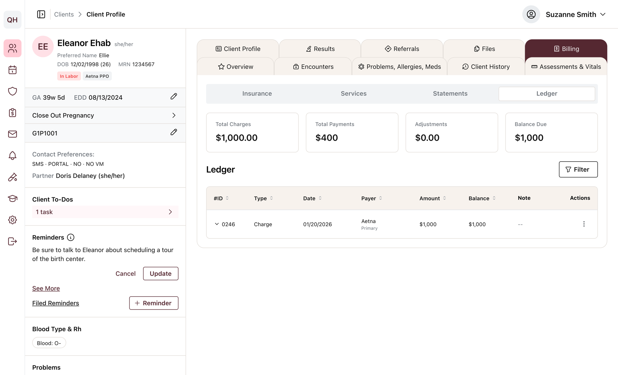 Quilted Health EHR client profile with encounters, flags, and allergies
