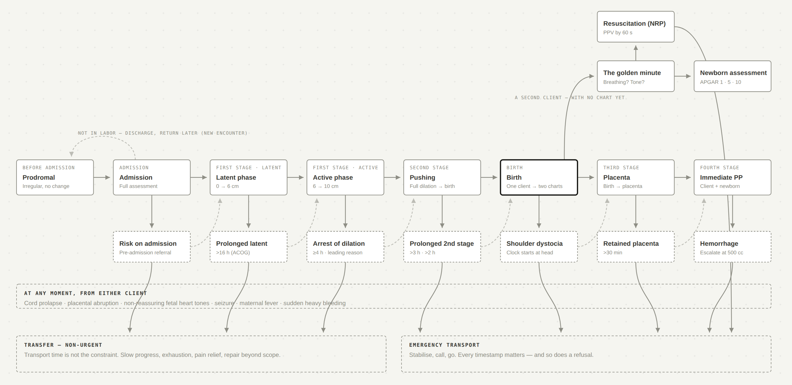 Preview of the labor complexity map in its grayscale resting state